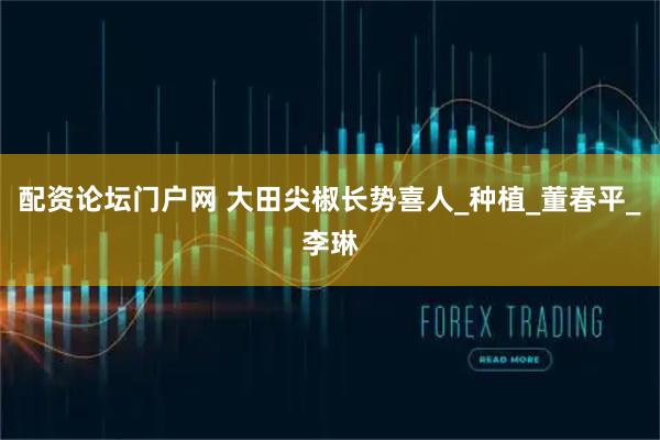 配资论坛门户网 大田尖椒长势喜人_种植_董春平_李琳